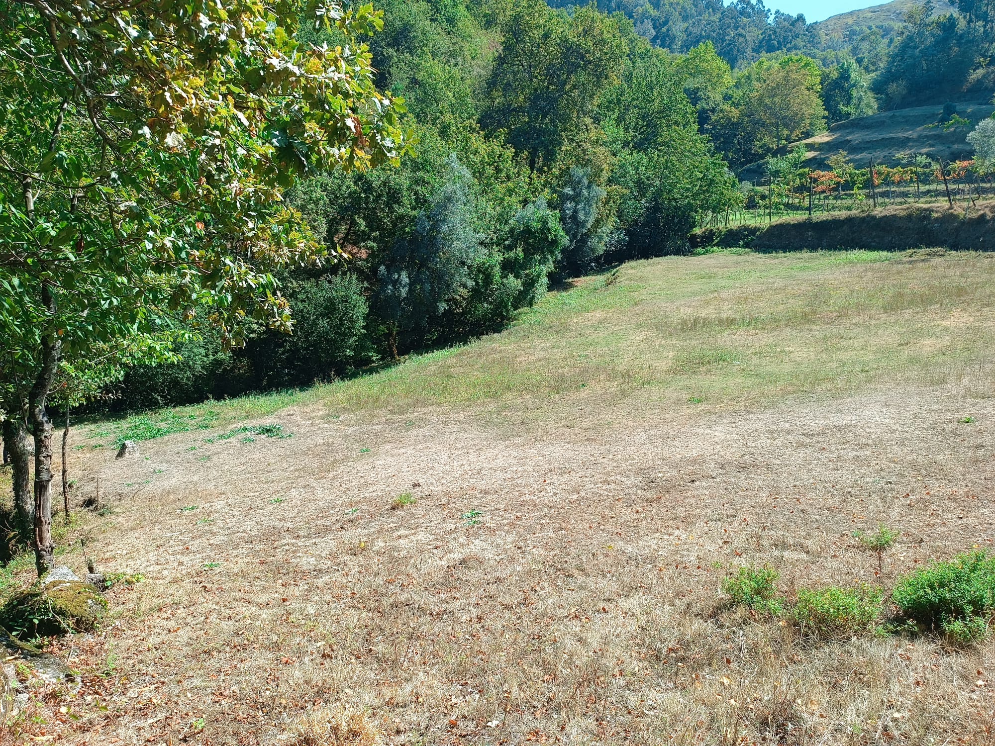 Ruina + Terreno margeando um Riacho em Salamonde, Gerês c/ 2.260m2