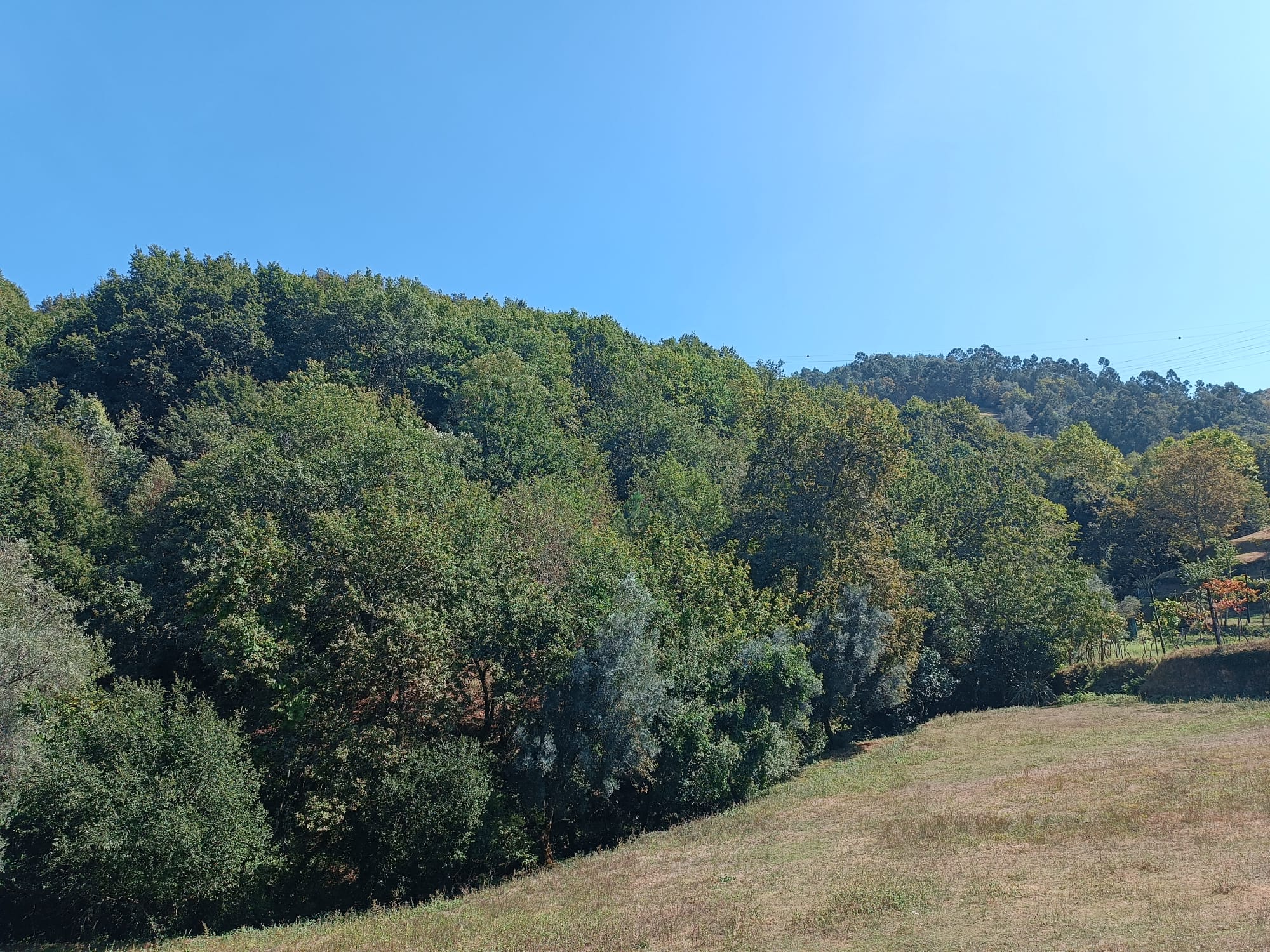 Ruina + Terreno margeando um Riacho em Salamonde, Gerês c/ 2.260m2