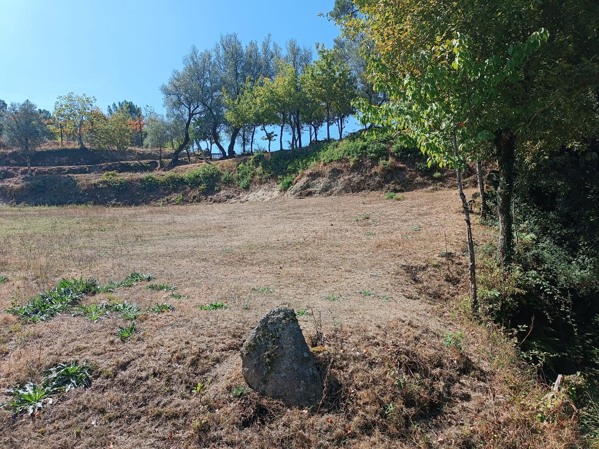 Ruina + Terreno margeando um Riacho em Salamonde, Gerês c/ 2.260m2