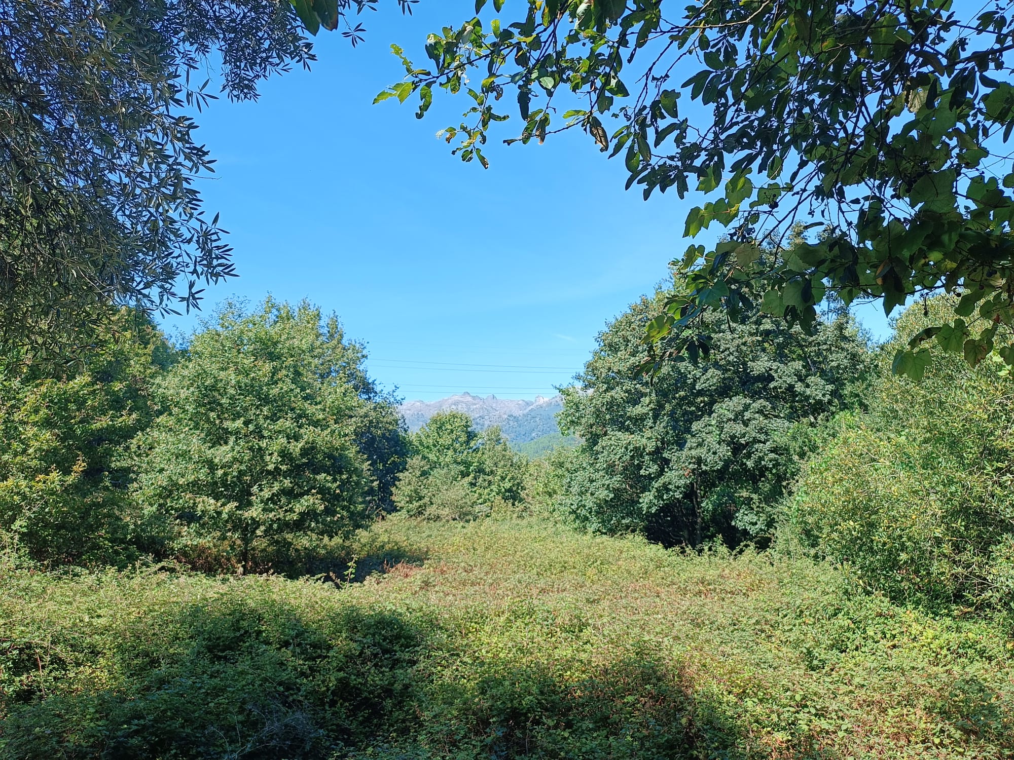 Ruina + Terreno margeando um Riacho em Salamonde, Gerês c/ 2.260m2
