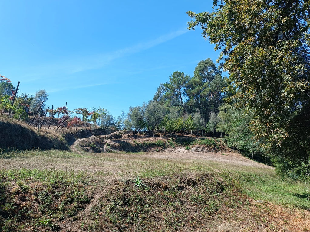 Ruina + Terreno margeando um Riacho em Salamonde, Gerês c/ 2.260m2