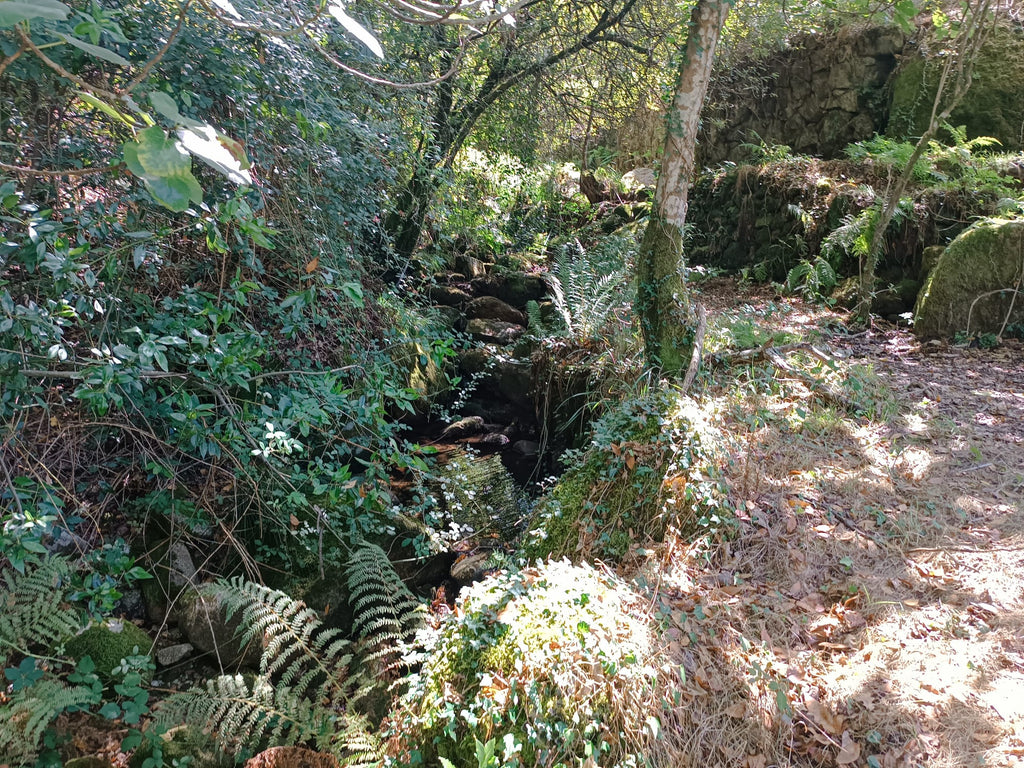 Ruina + Terreno margeando um Riacho em Salamonde, Gerês c/ 2.260m2