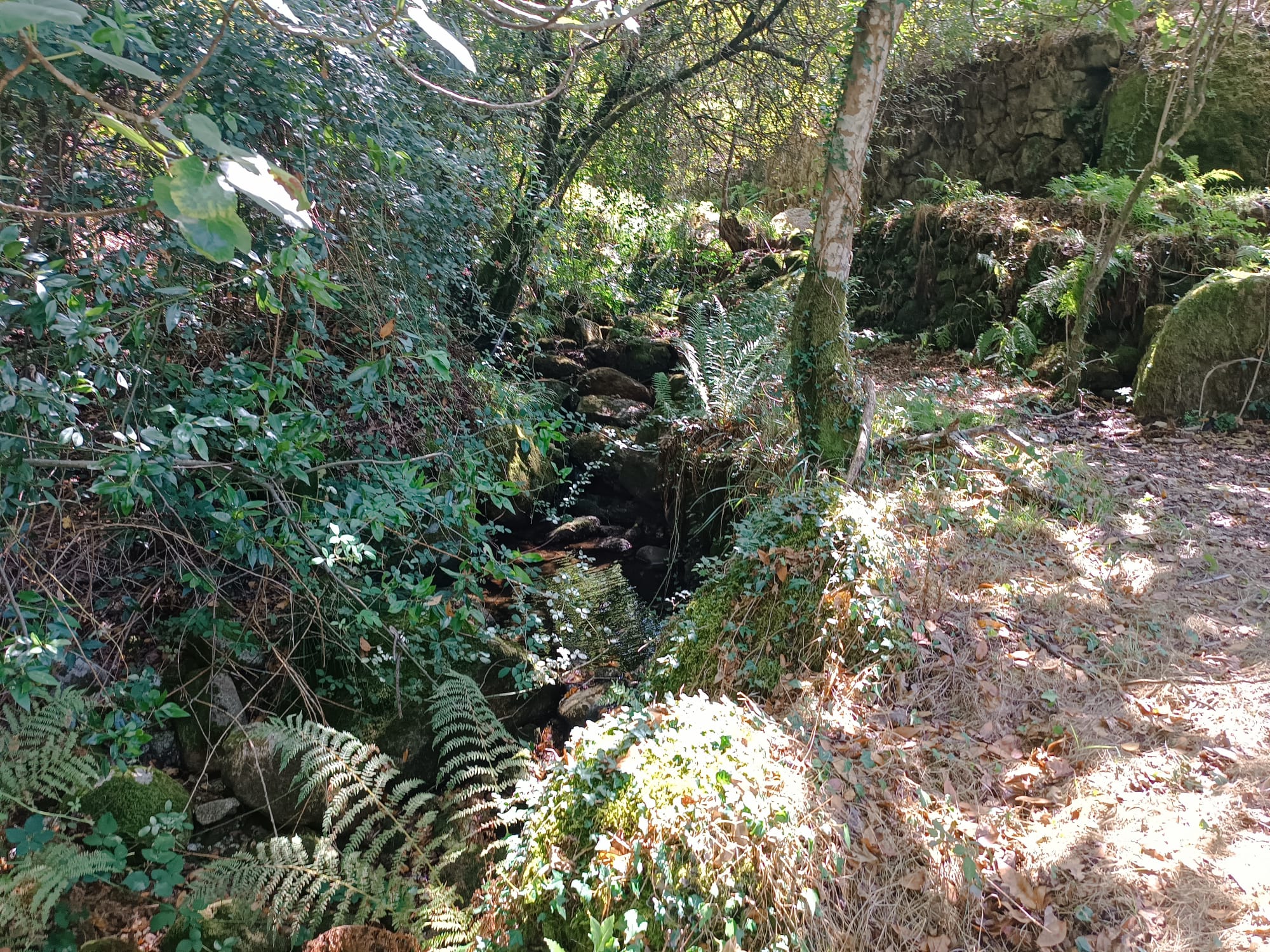Ruina + Terreno margeando um Riacho em Salamonde, Gerês c/ 2.260m2