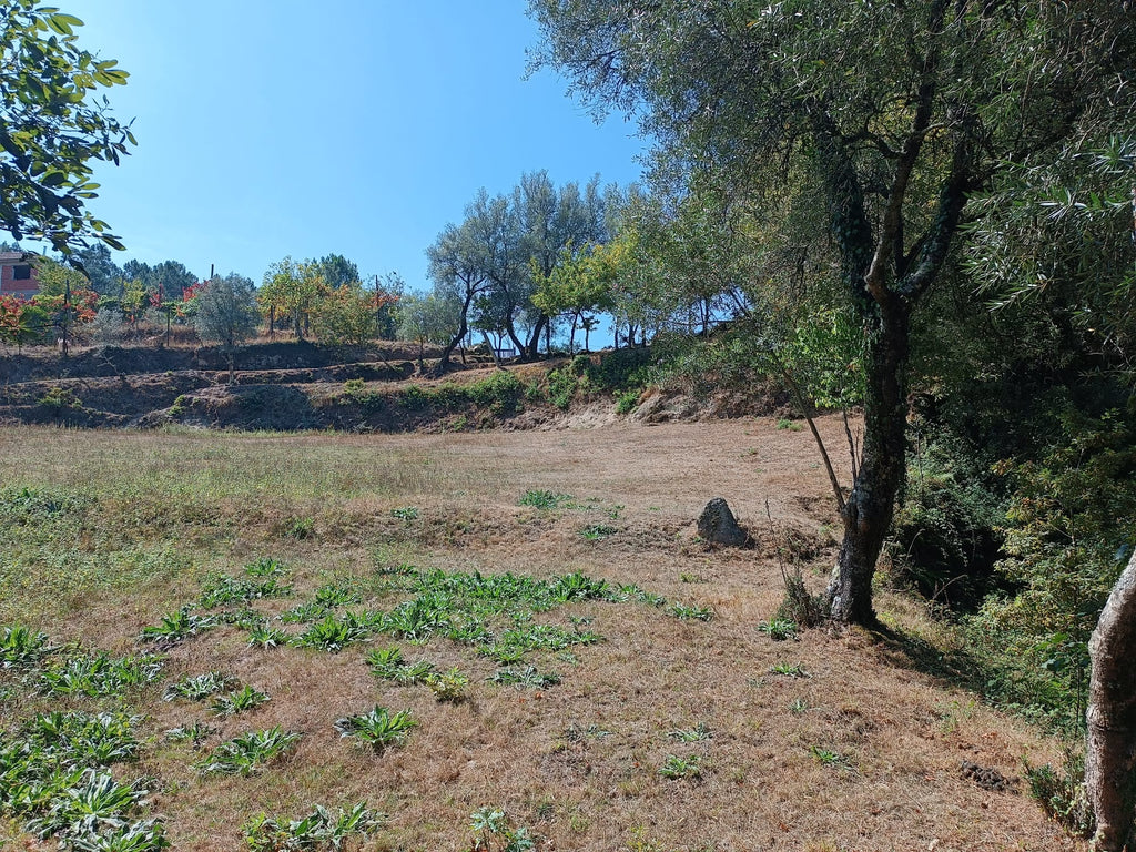 Ruina + Terreno margeando um Riacho em Salamonde, Gerês c/ 2.260m2