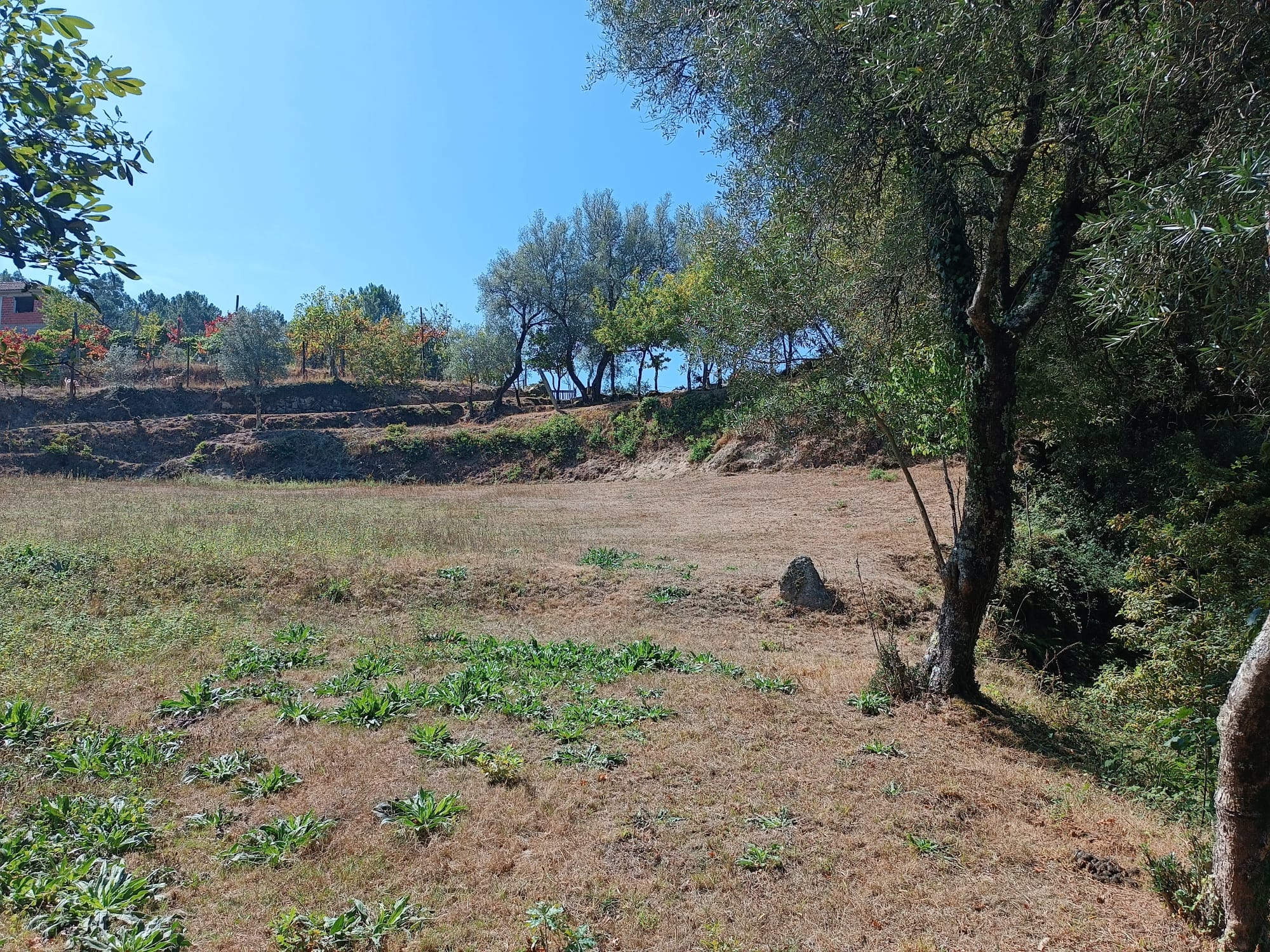 Ruina + Terreno margeando um Riacho em Salamonde, Gerês c/ 2.260m2