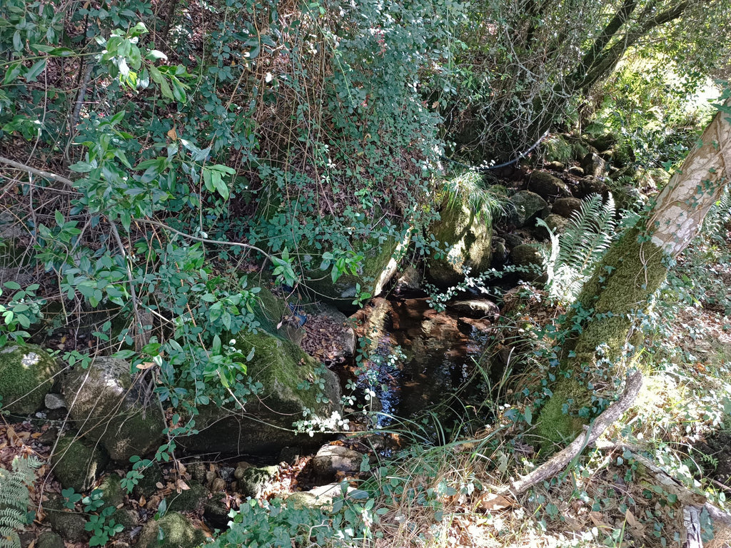 Ruina + Terreno margeando um Riacho em Salamonde, Gerês c/ 2.260m2