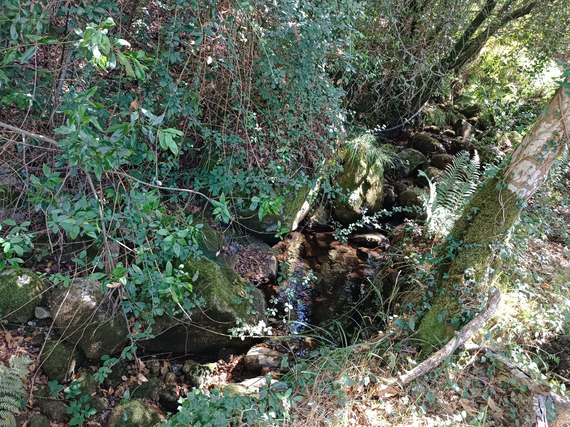 Ruina + Terreno margeando um Riacho em Salamonde, Gerês c/ 2.260m2