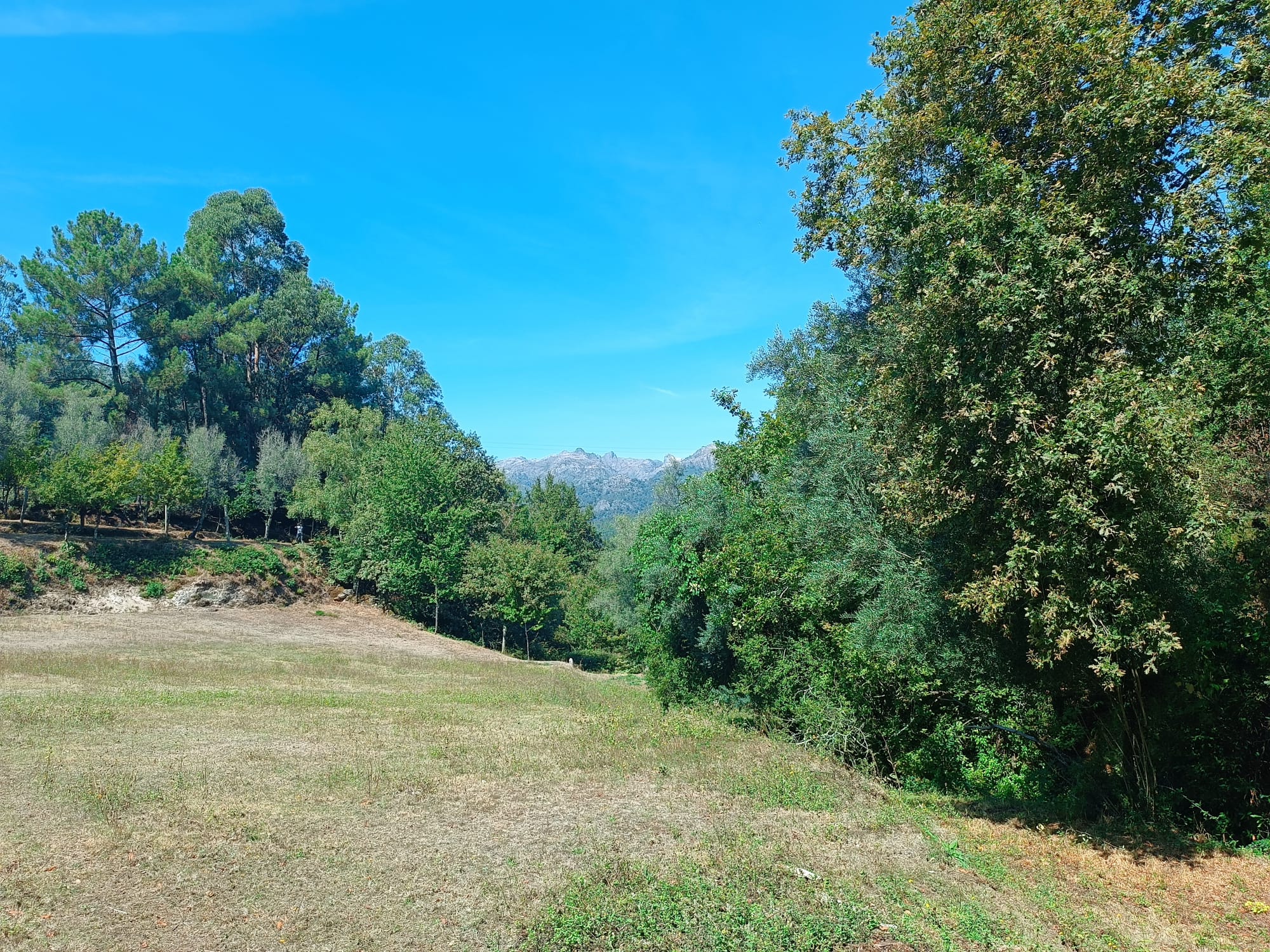 Ruina + Terreno margeando um Riacho em Salamonde, Gerês c/ 2.260m2