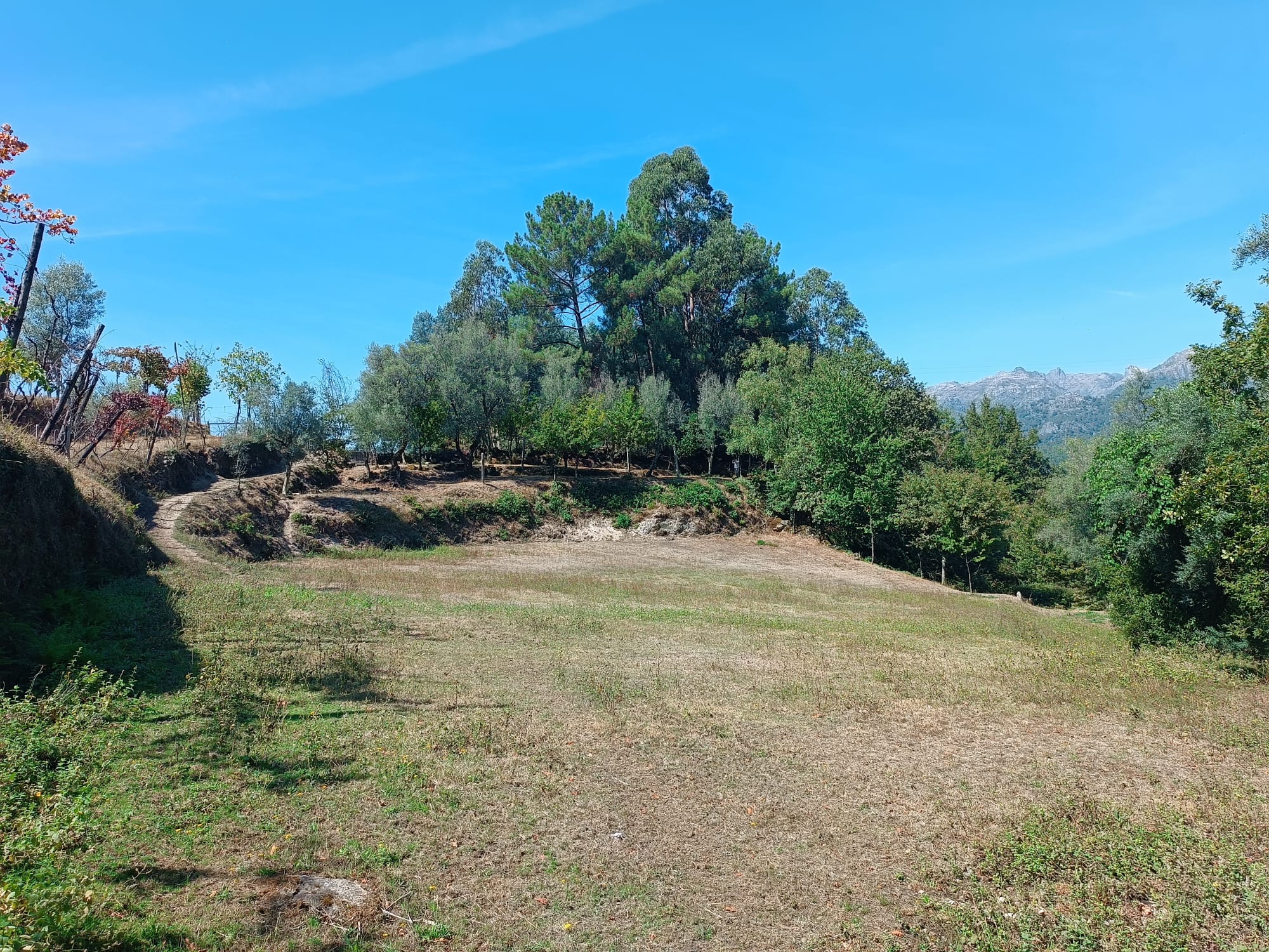 Ruina + Terreno margeando um Riacho em Salamonde, Gerês c/ 2.260m2