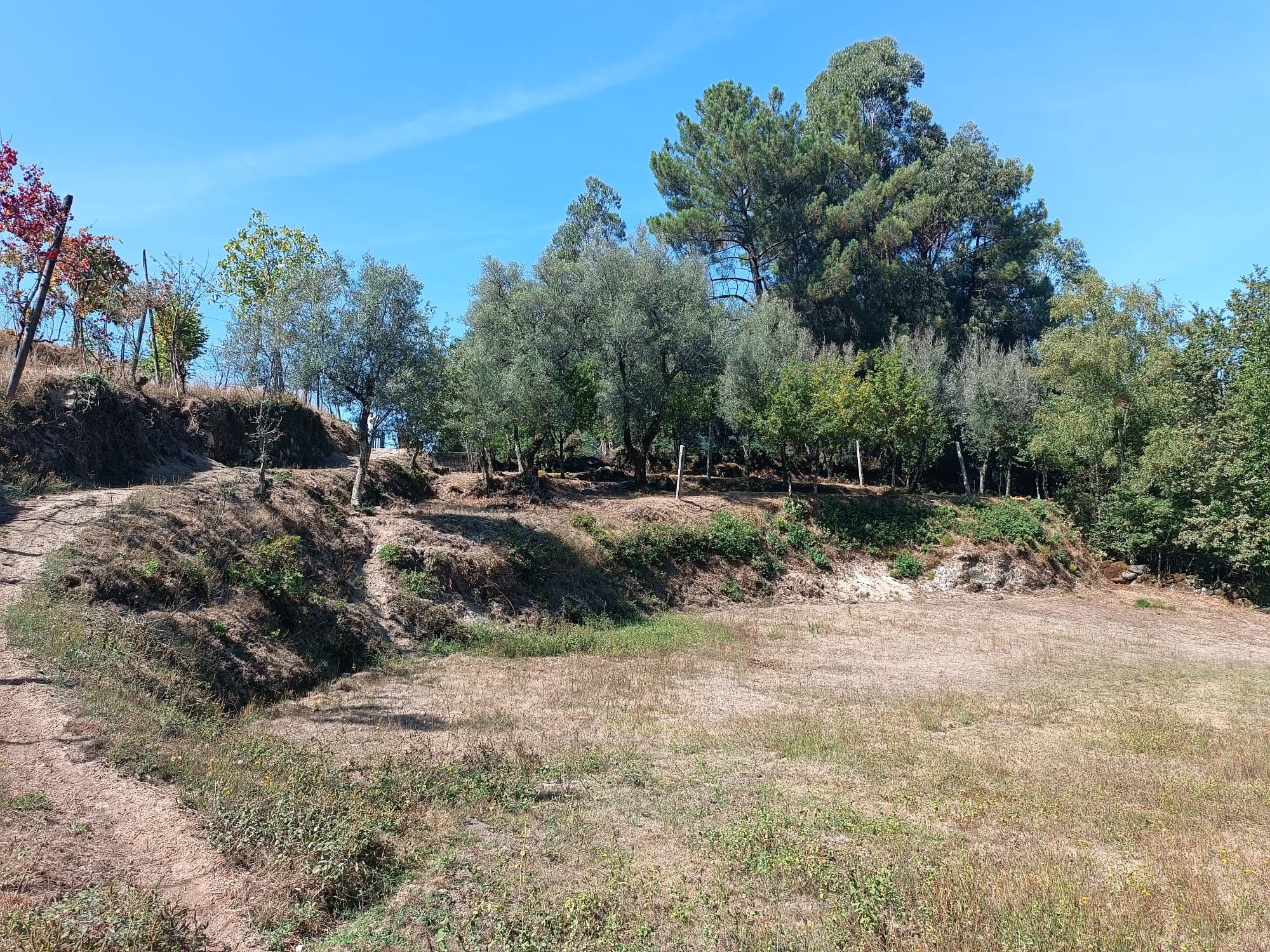 Ruina + Terreno margeando um Riacho em Salamonde, Gerês c/ 2.260m2