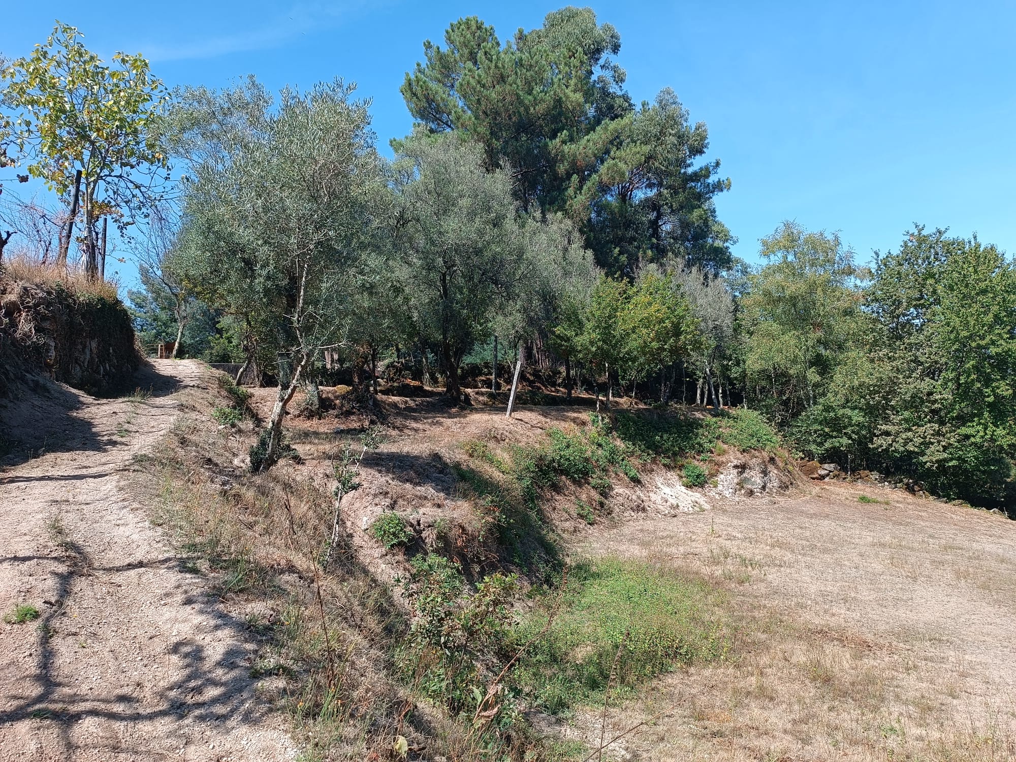 Ruina + Terreno margeando um Riacho em Salamonde, Gerês c/ 2.260m2