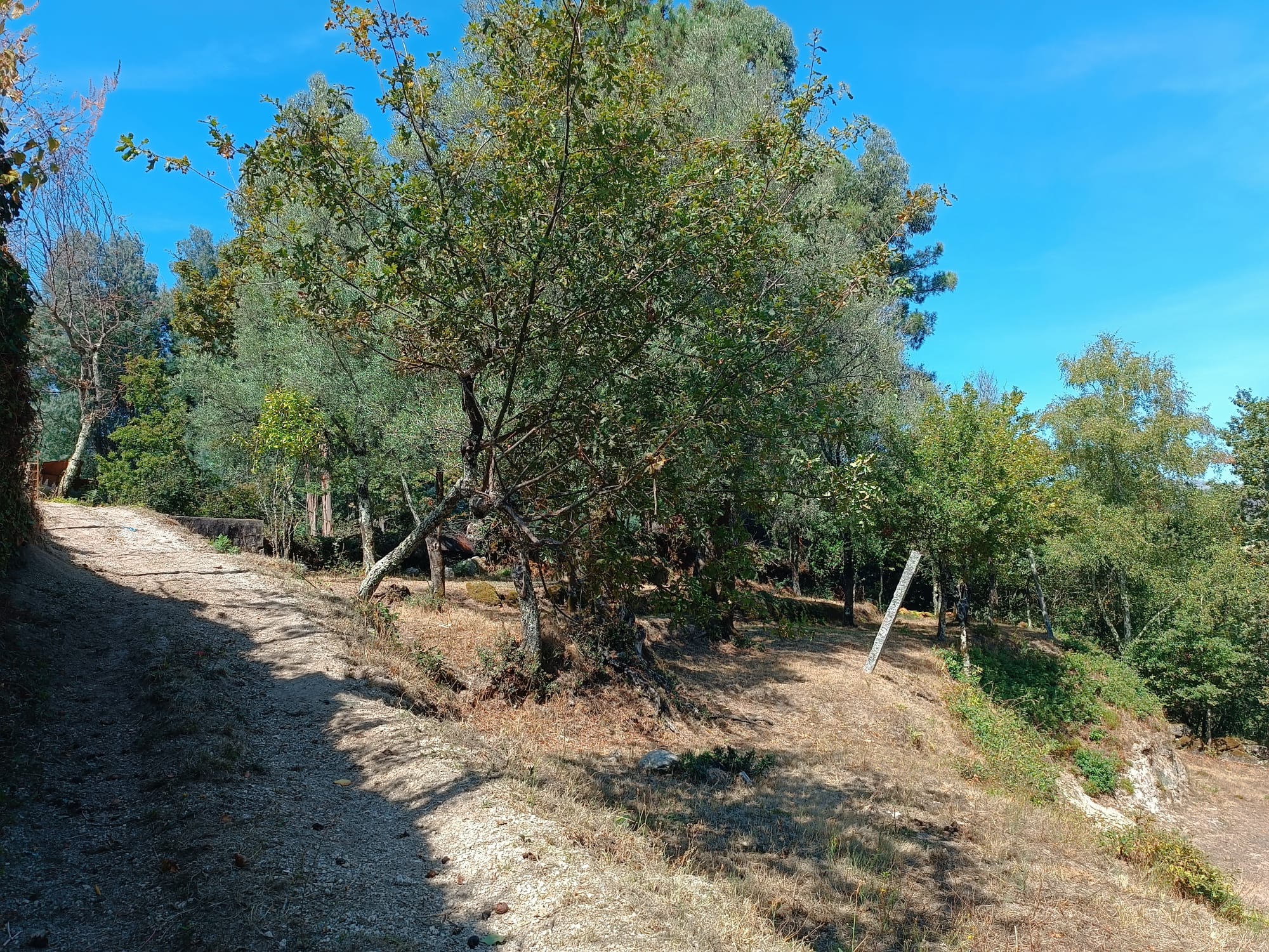 Ruina + Terreno margeando um Riacho em Salamonde, Gerês c/ 2.260m2