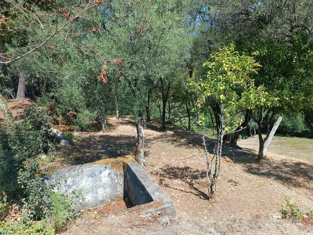 Ruina + Terreno margeando um Riacho em Salamonde, Gerês c/ 2.260m2