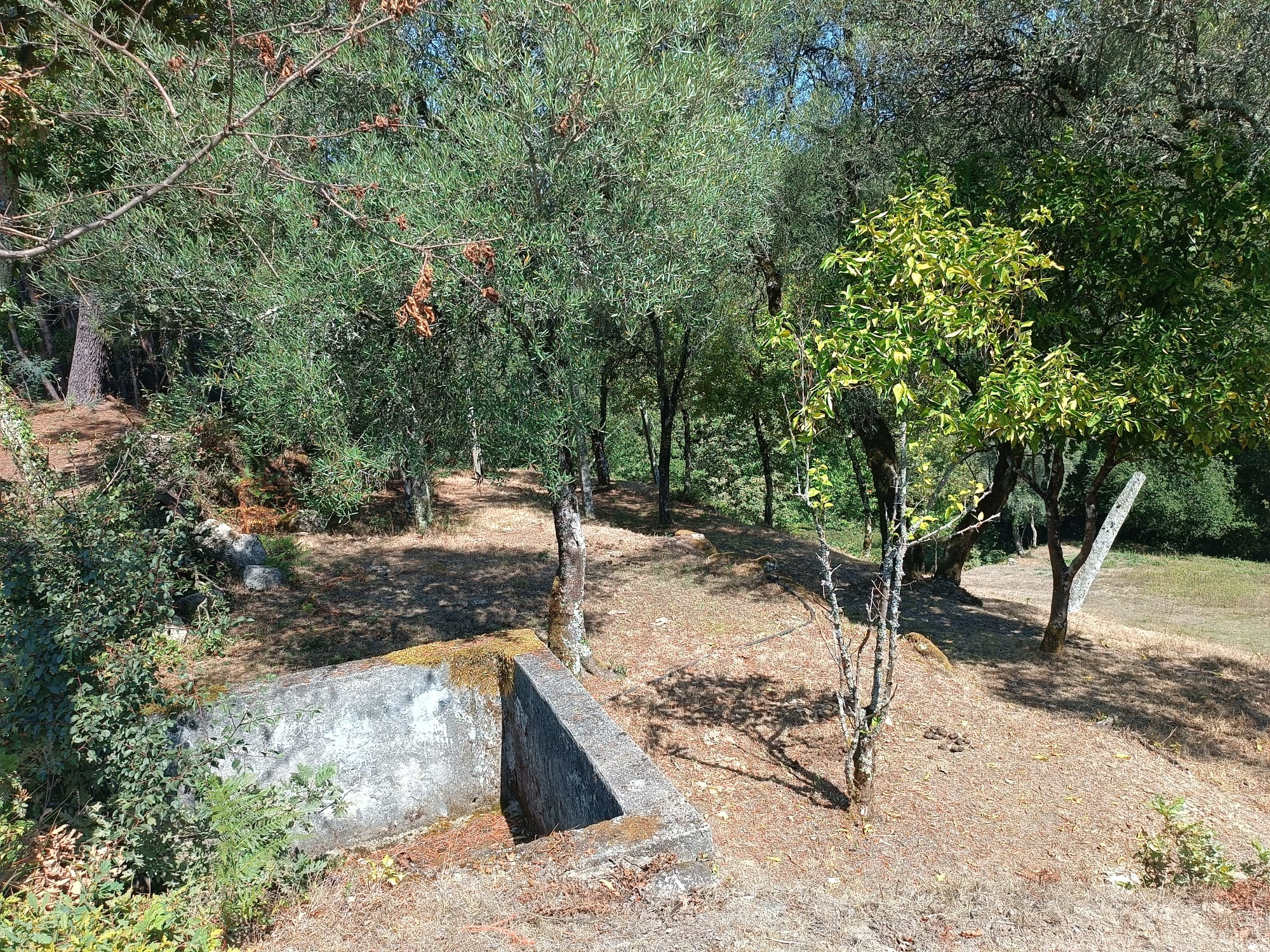 Ruina + Terreno margeando um Riacho em Salamonde, Gerês c/ 2.260m2