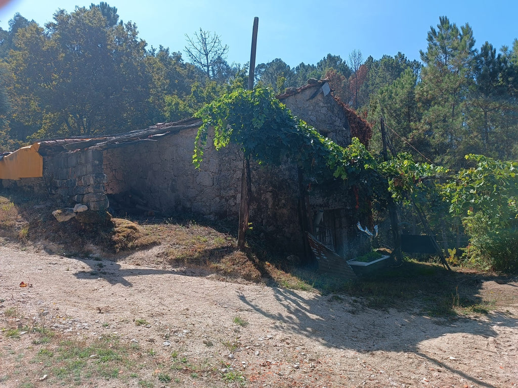 Ruina + Terreno margeando um Riacho em Salamonde, Gerês c/ 2.260m2