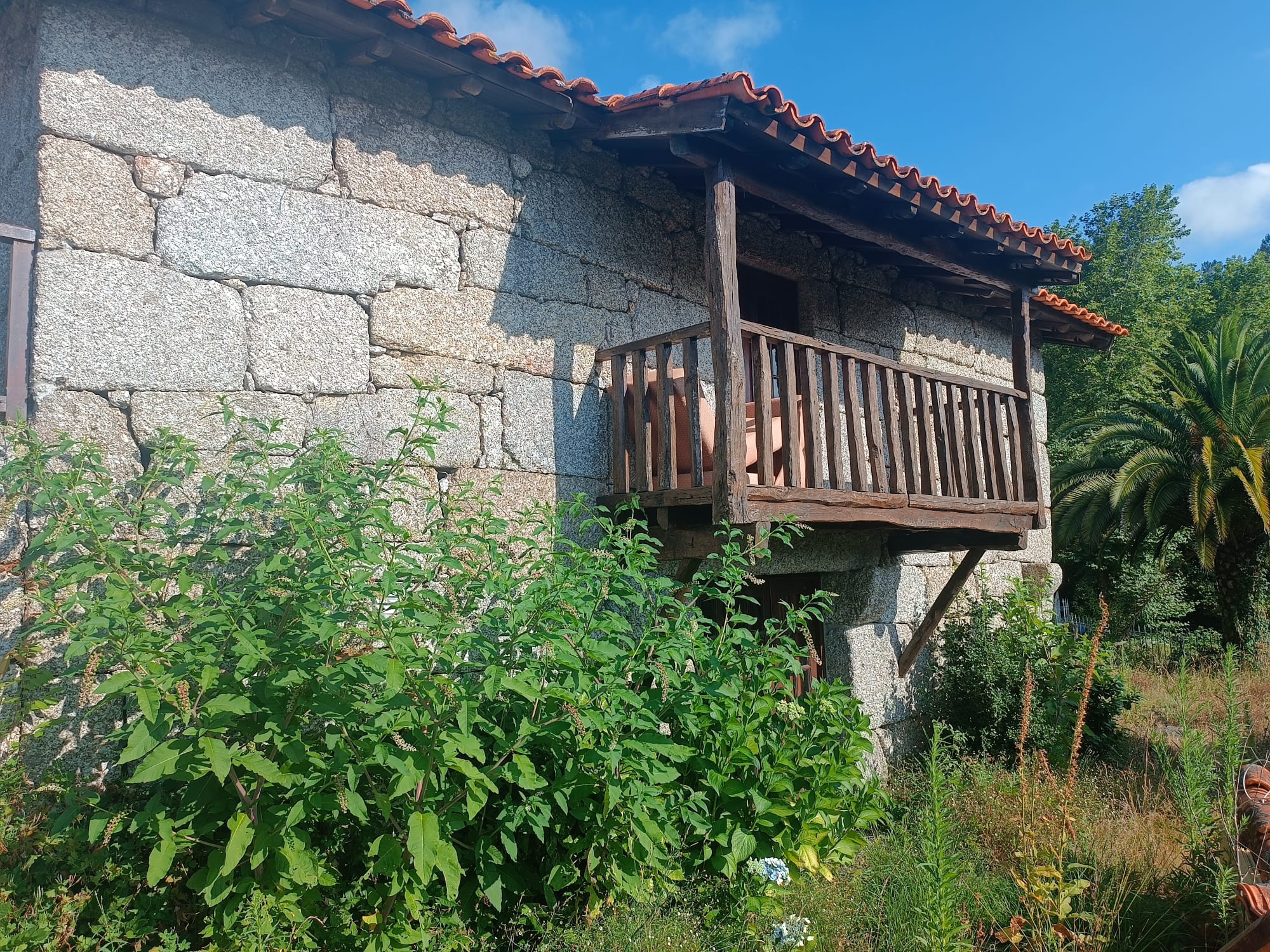 Quinta Brazão de Caniçada + uma grande moradia em anexo