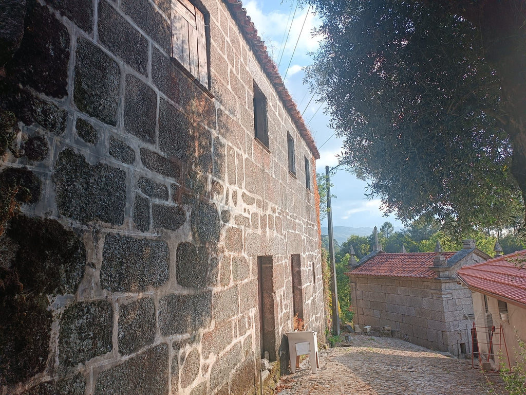 Quinta Brazão de Caniçada + uma grande moradia em anexo