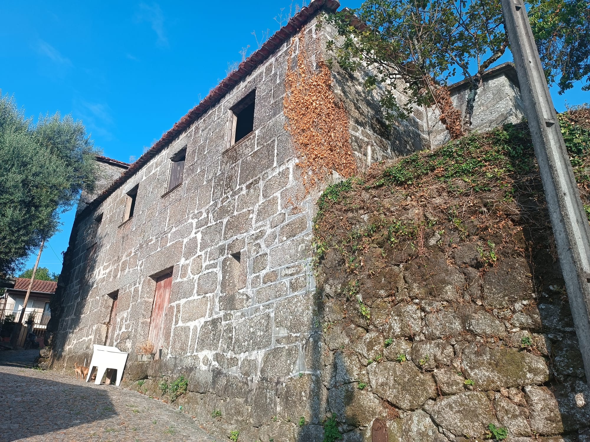 Quinta Brazão de Caniçada + uma grande moradia em anexo