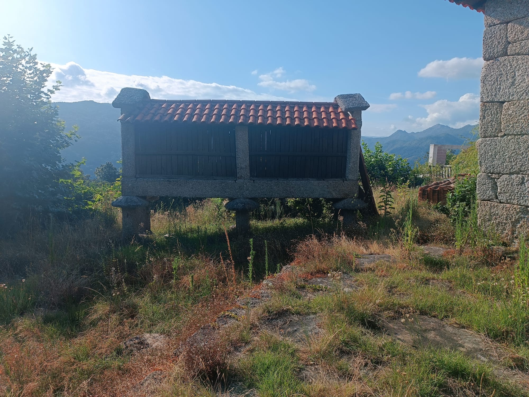 Quinta Brazão de Caniçada + uma grande moradia em anexo