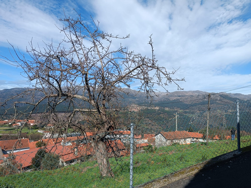 Terreno completamente urbano com 960m2 dentro da Aldeia Salamonde
