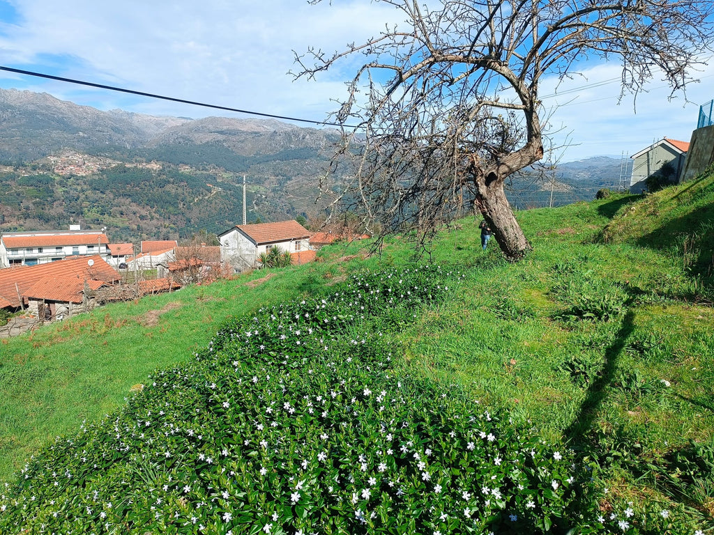 Terreno completamente urbano com 960m2 dentro da Aldeia Salamonde