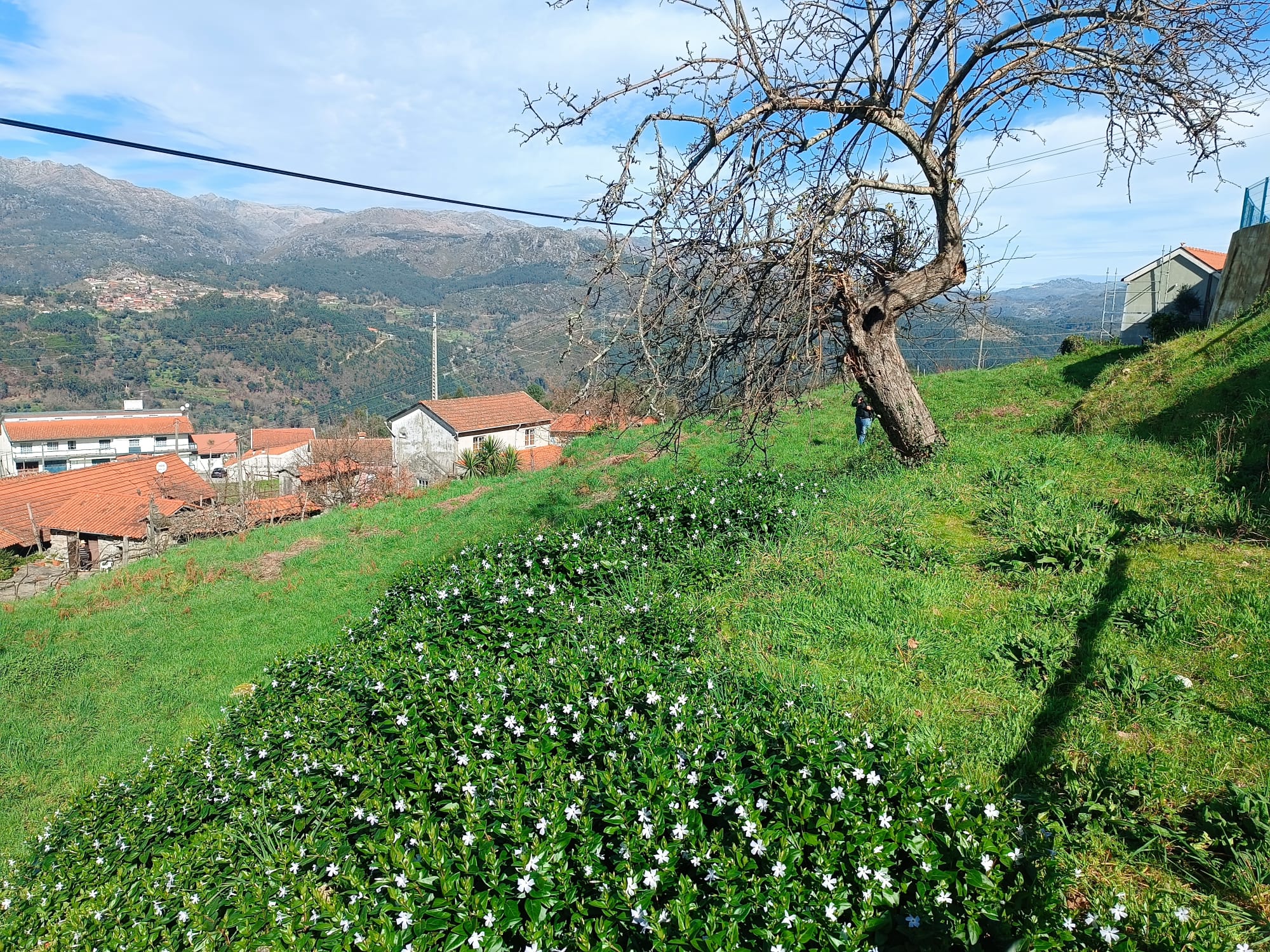 Terreno completamente urbano com 960m2 dentro da Aldeia Salamonde