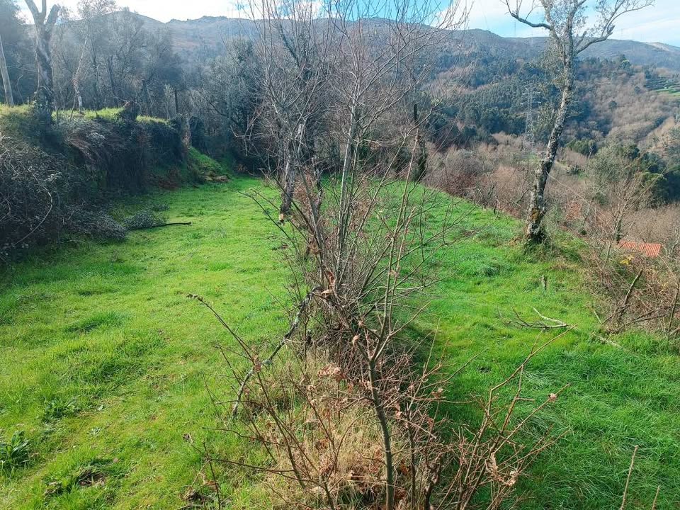 Terreno com 11.000m2 para construção - Aldeamento no Gerês aprovado