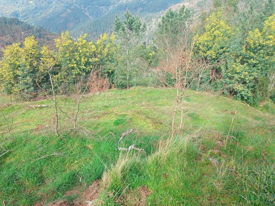 Terreno com 11.000m2 para construção - Aldeamento no Gerês aprovado