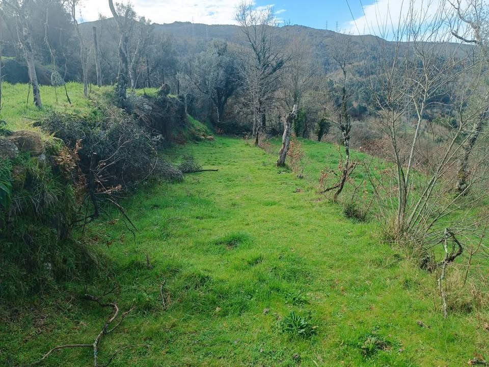 Terreno com 11.000m2 para construção - Aldeamento no Gerês aprovado
