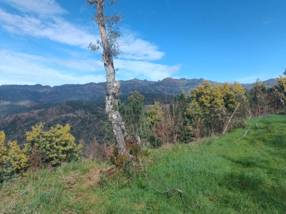 Terreno com 11.000m2 para construção - Aldeamento no Gerês aprovado