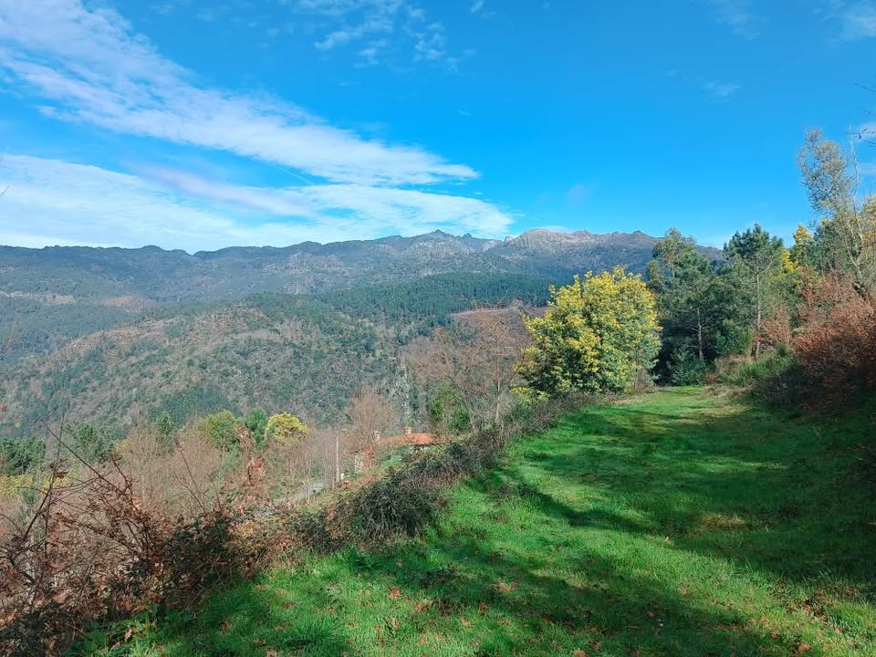 Terreno com 11.000m2 para construção - Aldeamento no Gerês aprovado