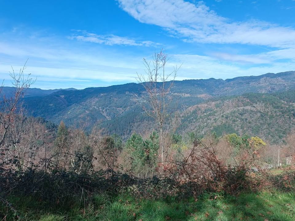 Terreno com 11.000m2 para construção - Aldeamento no Gerês aprovado