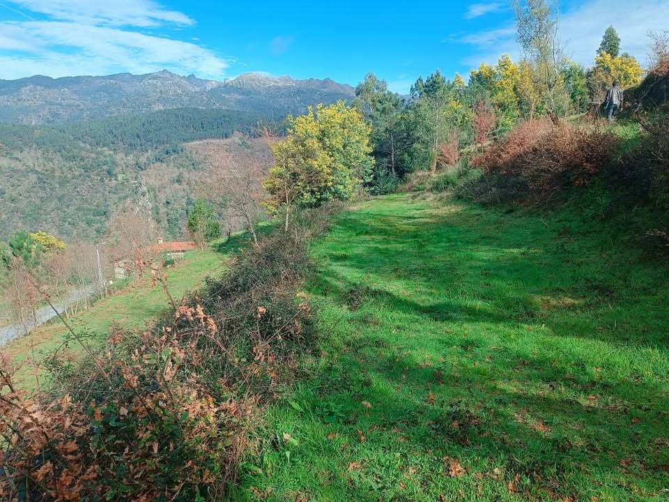 Terreno com 11.000m2 para construção - Aldeamento no Gerês aprovado