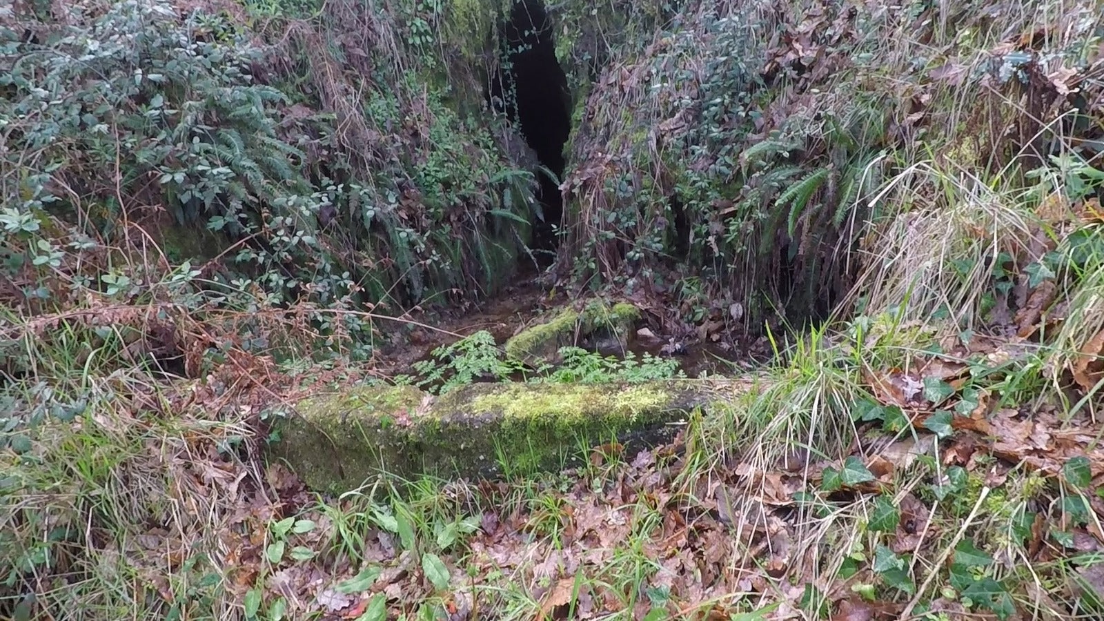 Terreno com 11.000m2 para construção - Aldeamento no Gerês aprovado