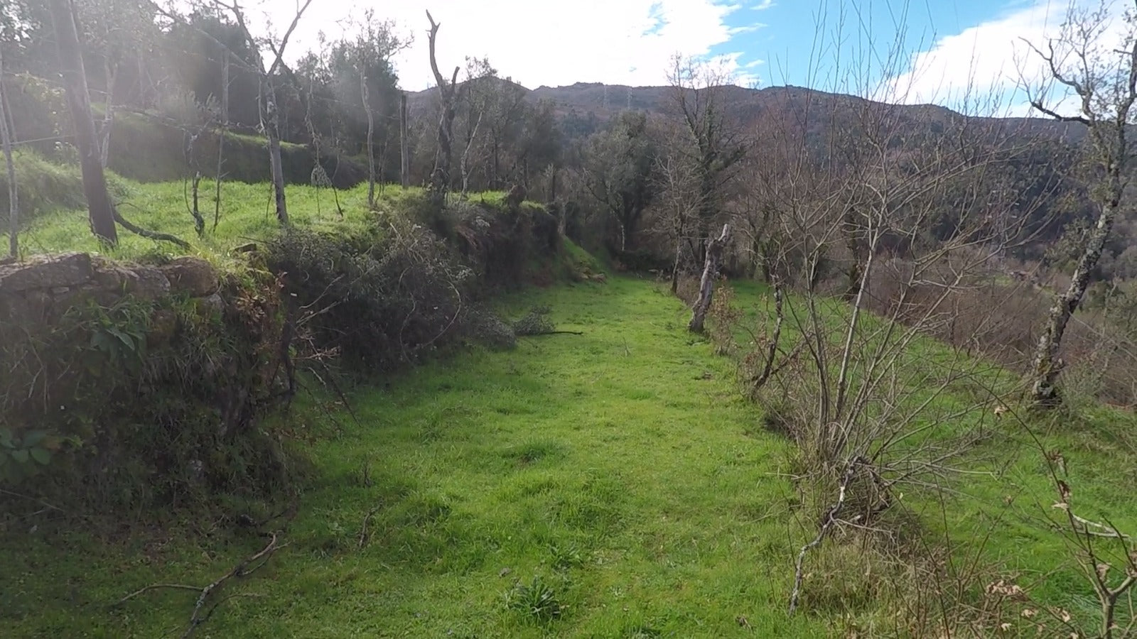 Terreno com 11.000m2 para construção - Aldeamento no Gerês aprovado