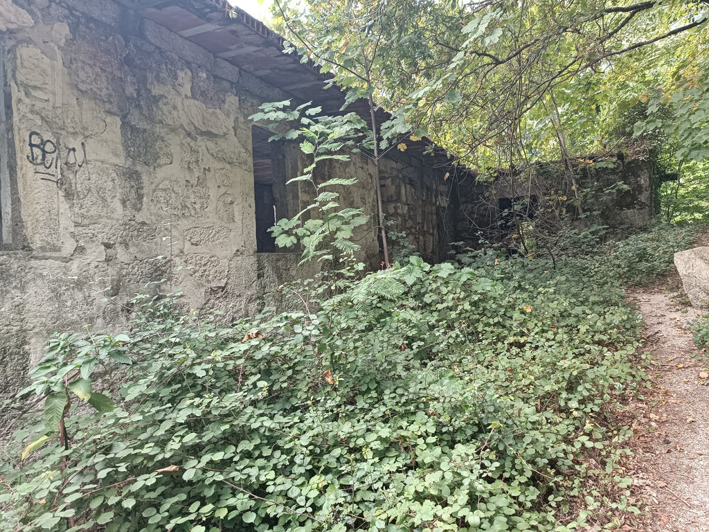 Ruina p/ recuperação em Vila do Gerês c/ 3.650 de terreno plano c/ Riacho.