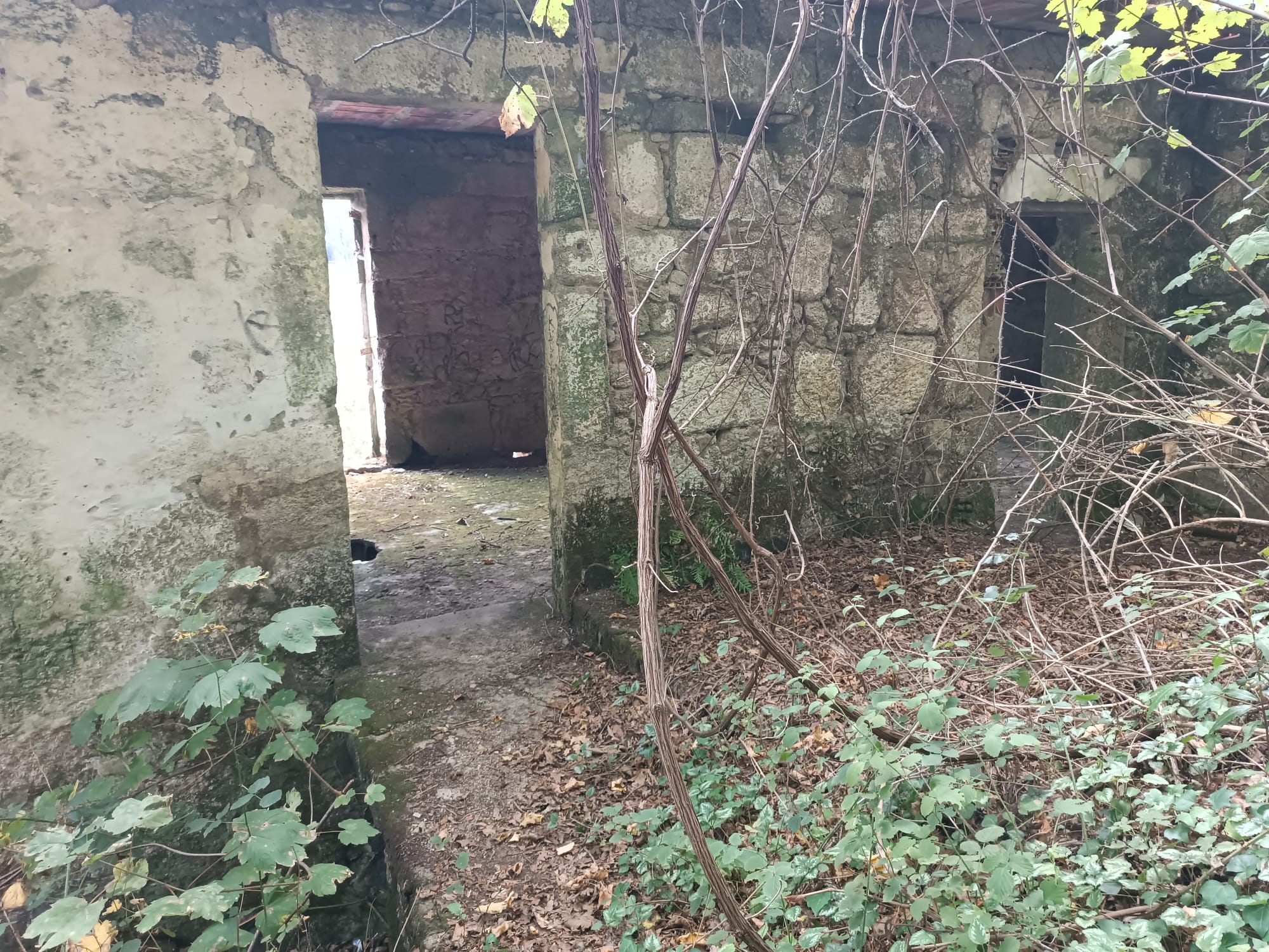 Ruina p/ recuperação em Vila do Gerês c/ 3.650 de terreno plano c/ Riacho.