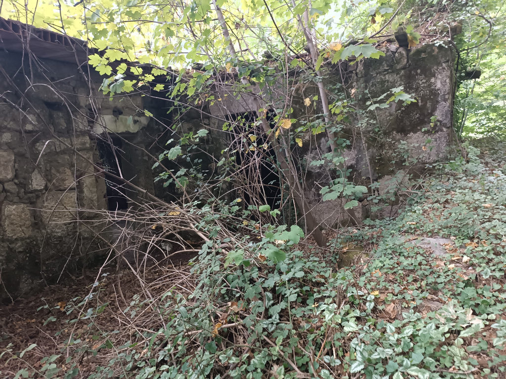 Ruina p/ recuperação em Vila do Gerês c/ 3.650 de terreno plano c/ Riacho.