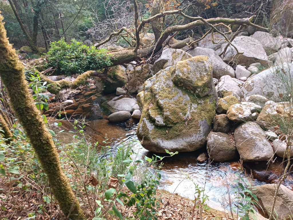 Ruina p/ recuperação em Vila do Gerês c/ 3.650 de terreno plano c/ Riacho.