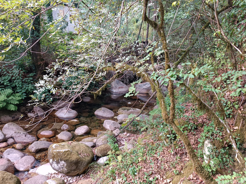 Ruina p/ recuperação em Vila do Gerês c/ 3.650 de terreno plano c/ Riacho.