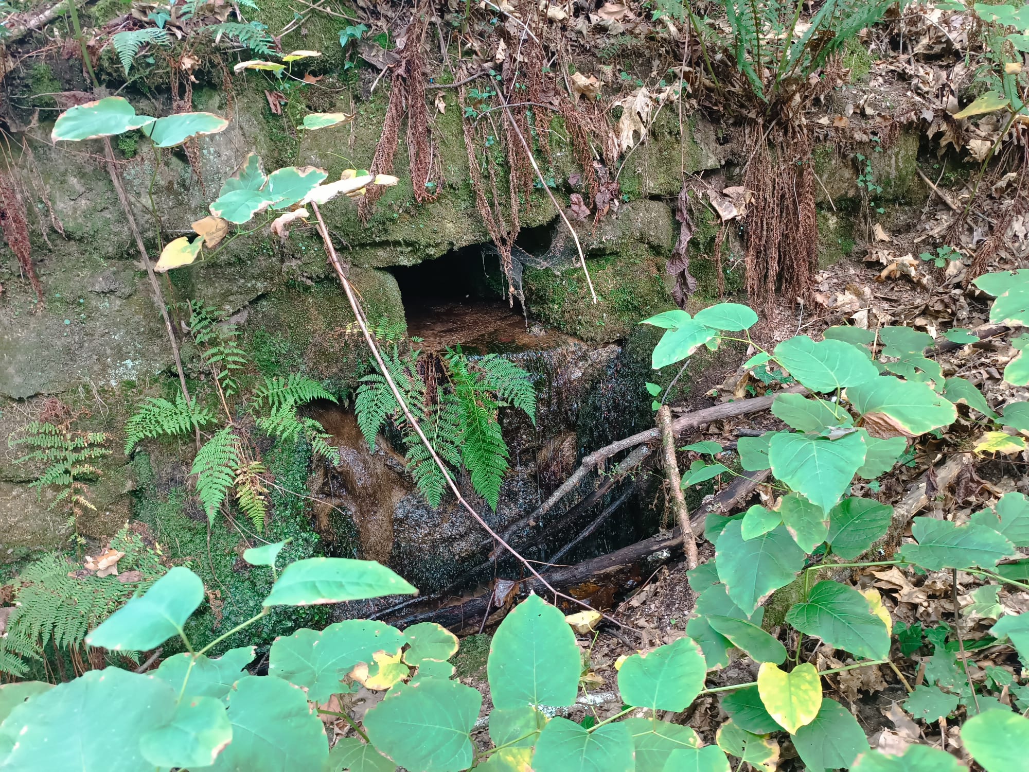 Ruina p/ recuperação em Vila do Gerês c/ 3.650 de terreno plano c/ Riacho.
