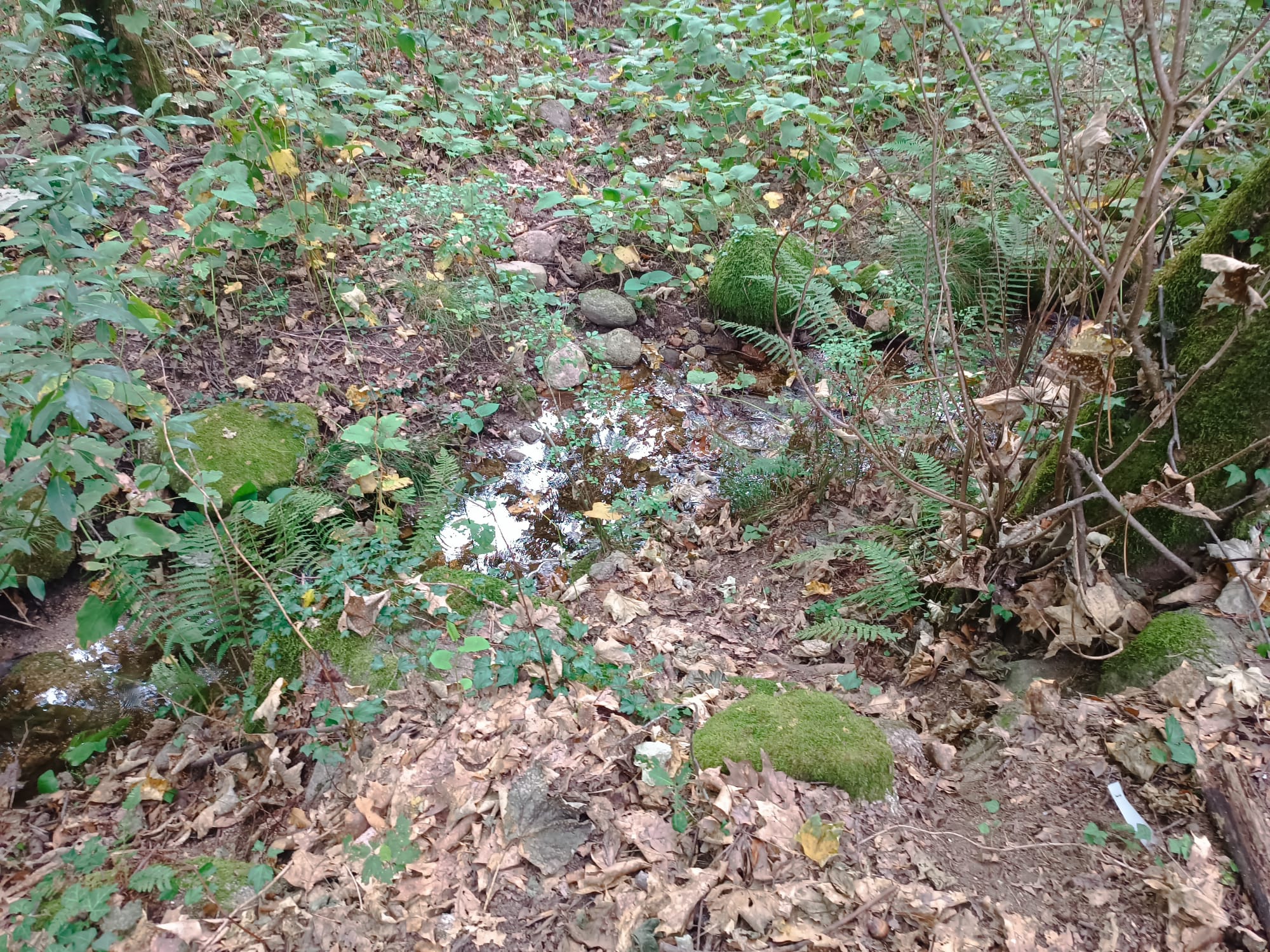 Ruina p/ recuperação em Vila do Gerês c/ 3.650 de terreno plano c/ Riacho.