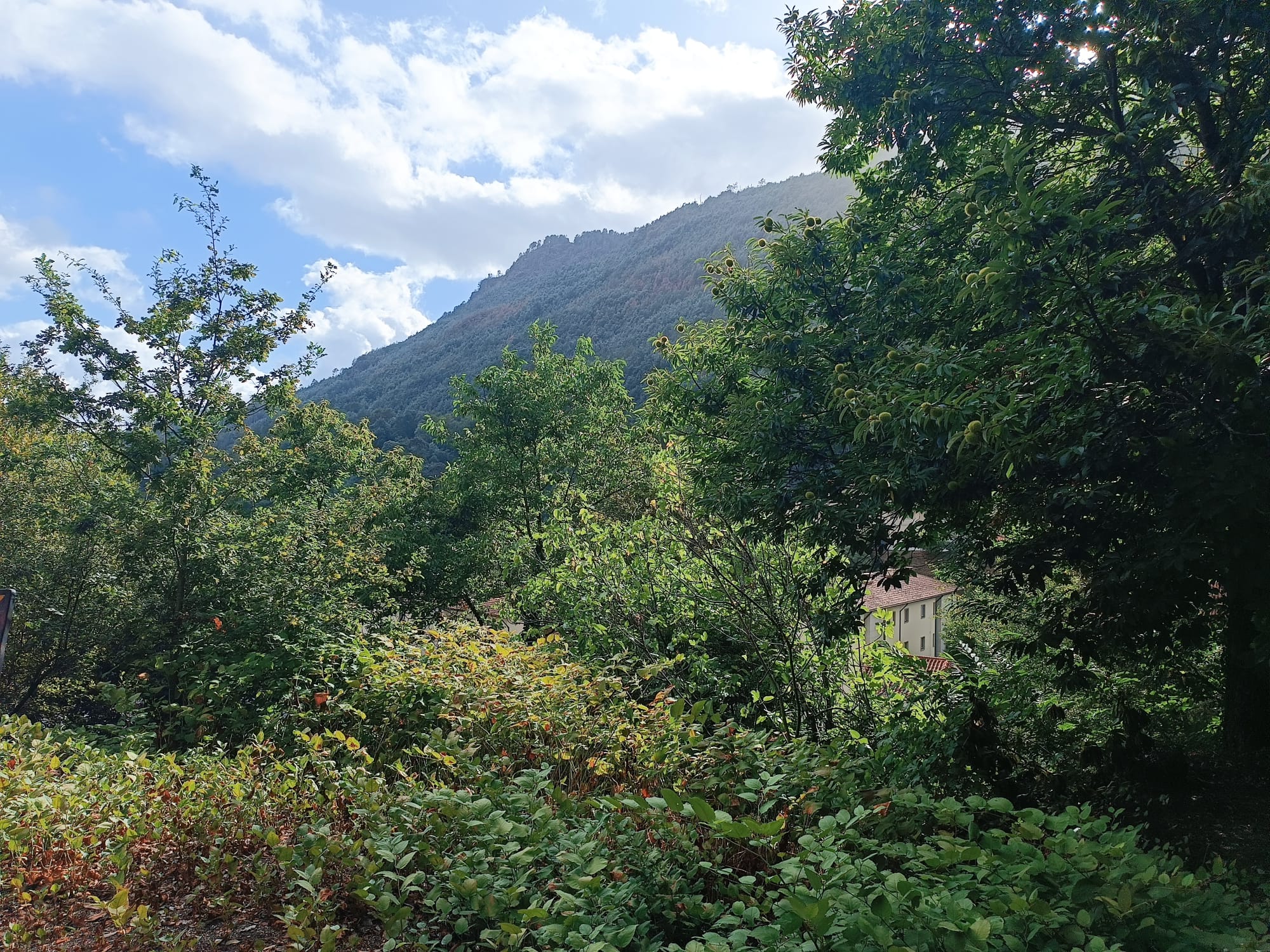 Ruina p/ recuperação em Vila do Gerês c/ 3.650 de terreno plano c/ Riacho.