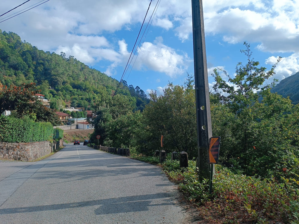 Ruina p/ recuperação em Vila do Gerês c/ 3.650 de terreno plano c/ Riacho.