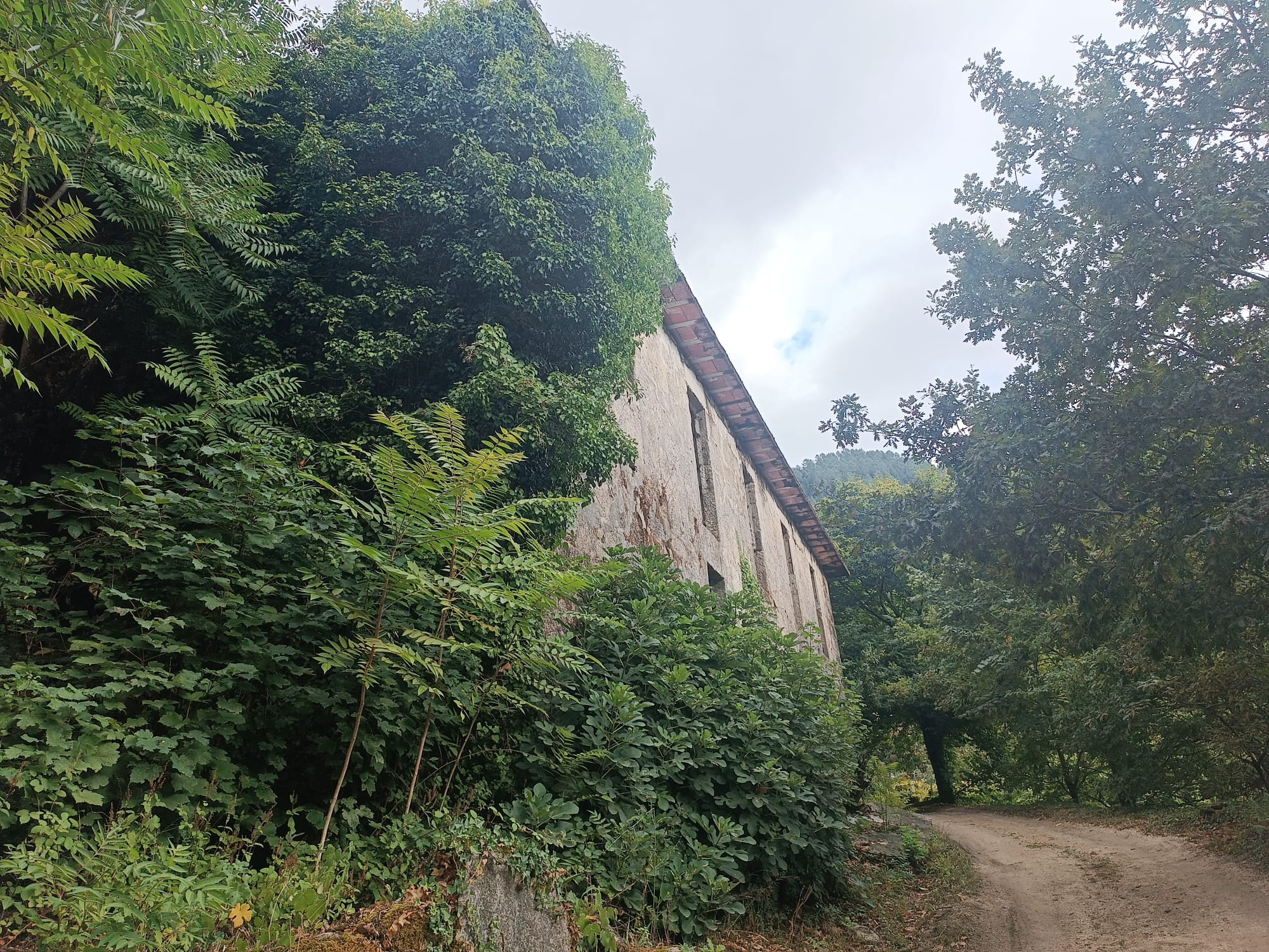 Ruina p/ recuperação em Vila do Gerês c/ 3.650 de terreno plano c/ Riacho.
