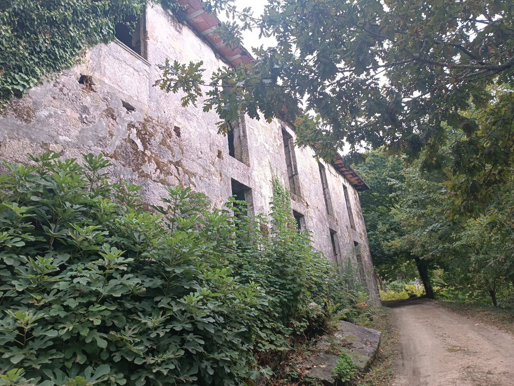 Ruina p/ recuperação em Vila do Gerês c/ 3.650 de terreno plano c/ Riacho.
