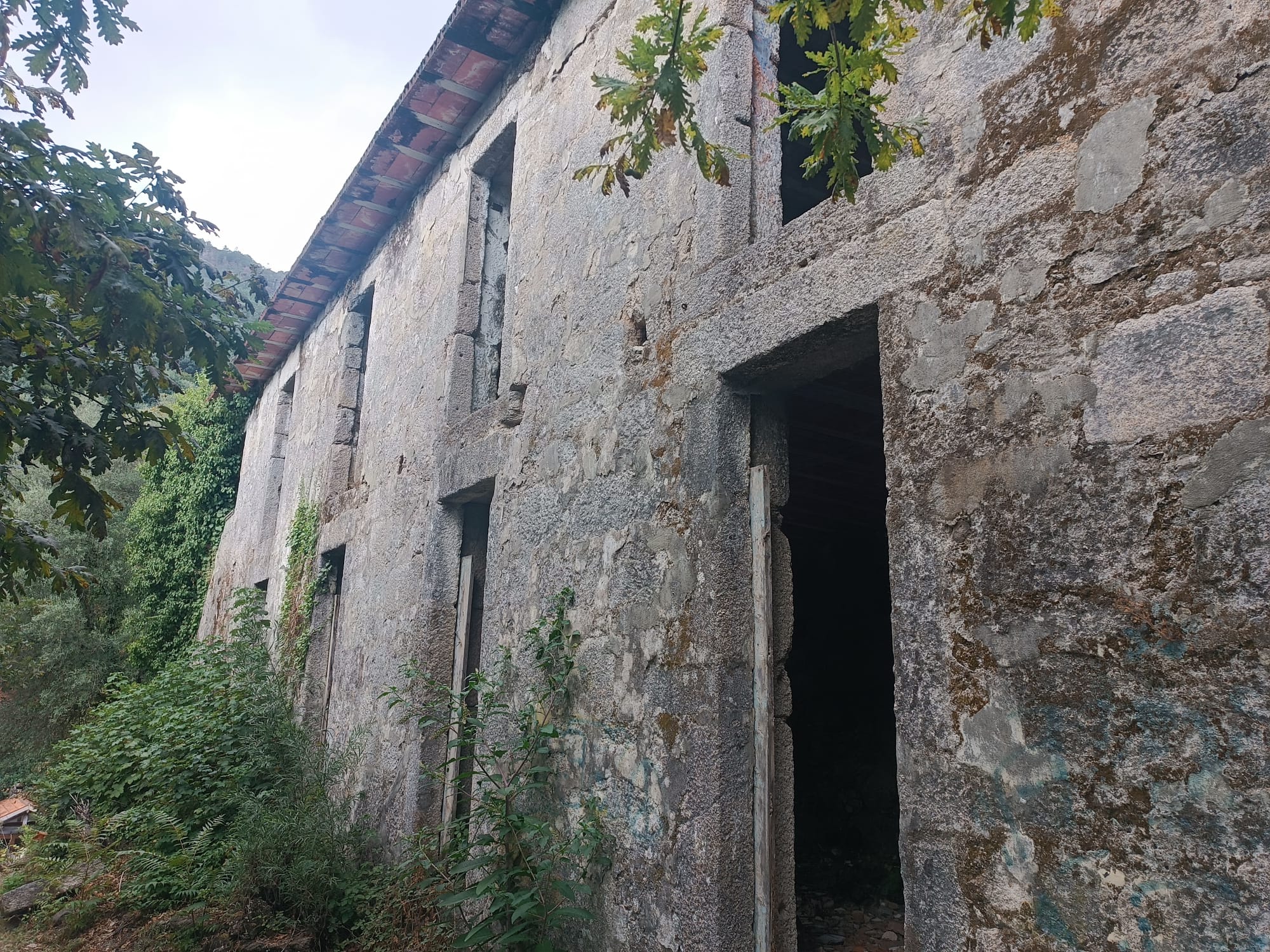 Ruina p/ recuperação em Vila do Gerês c/ 3.650 de terreno plano c/ Riacho.