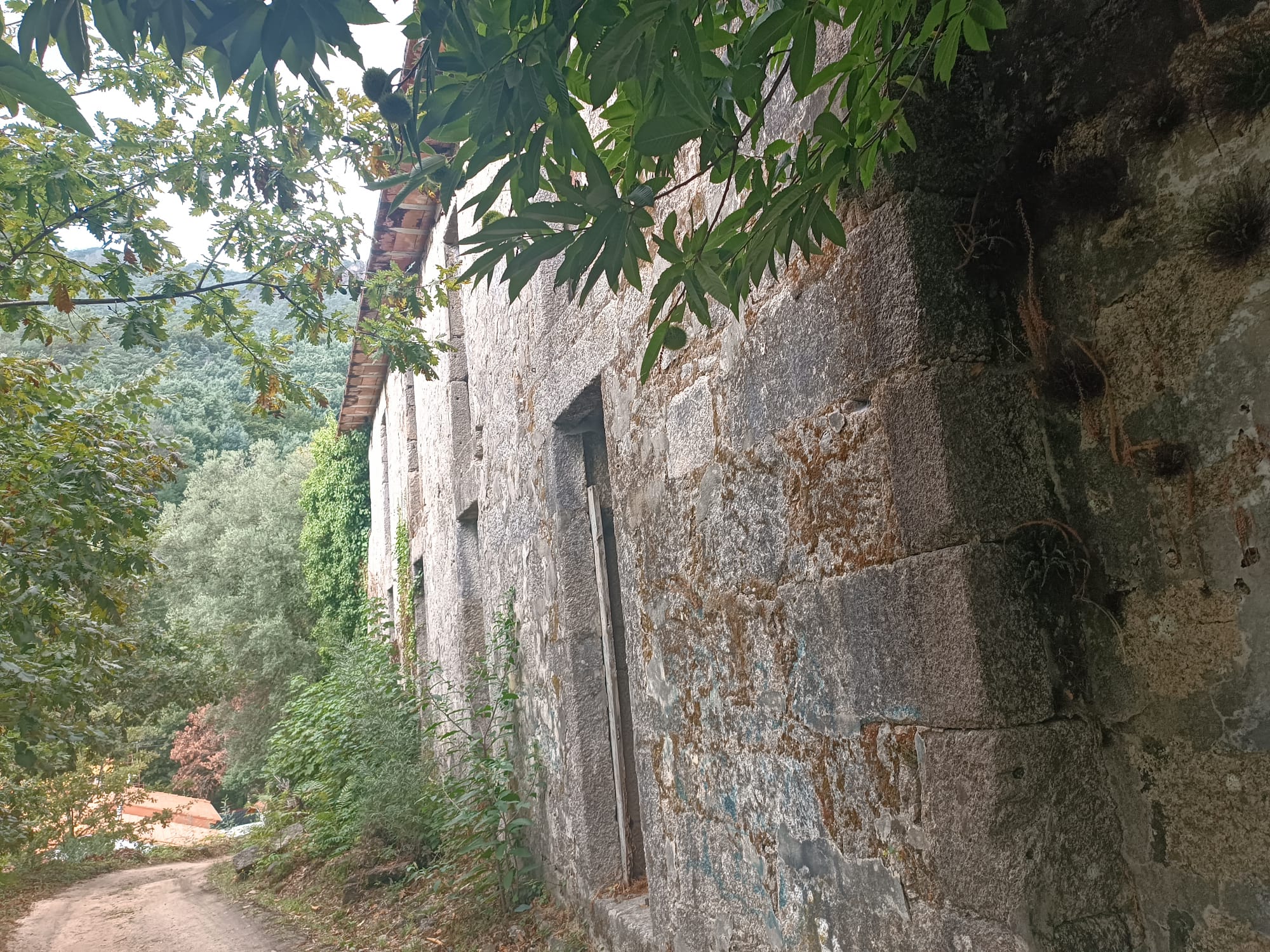 Ruina p/ recuperação em Vila do Gerês c/ 3.650 de terreno plano c/ Riacho.