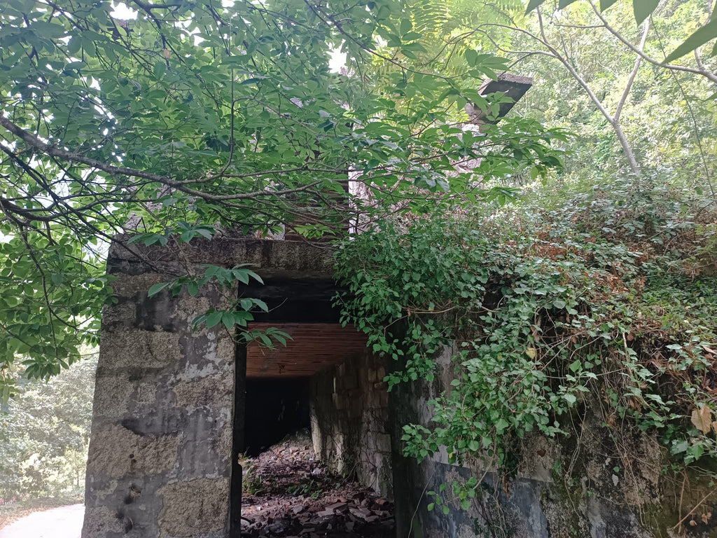 Ruina p/ recuperação em Vila do Gerês c/ 3.650 de terreno plano c/ Riacho.