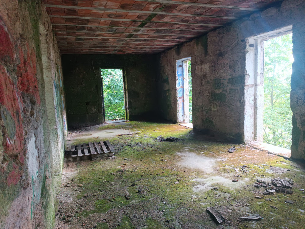 Ruina p/ recuperação em Vila do Gerês c/ 3.650 de terreno plano c/ Riacho.